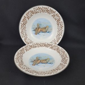 (2) WILD BIRDS Porcelain Soup Bowls